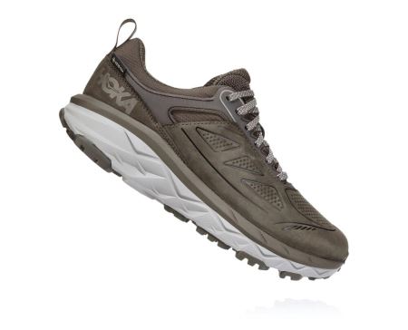 Hoka One One Challenger Low GORE-TEX - Bocanci Munte Dama Maro | RO-hNAhaQa